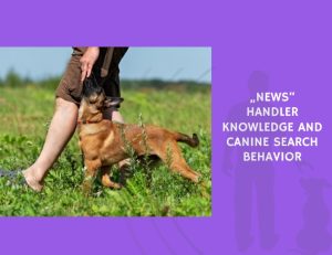 Handler Knowledge and Canine Search Behavior