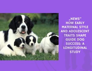 How Early Maternal Style and Adolescent Traits Shape Guide Dog Success A Longitudinal Study