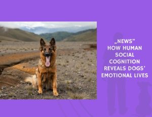 How Human Social Cognition Reveals Dogs’ Emotional Lives