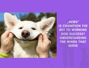 Is Cognition the Key to Working Dog Success Understanding the Minds That Serve
