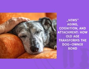 News Aging, Cognition, and Attachment How Old Age Transforms the Dog–Owner Bond