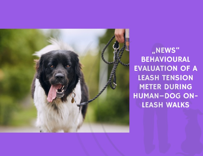 News Behavioural Evaluation of a Leash Tension Meter during Human–Dog On-Leash Walks