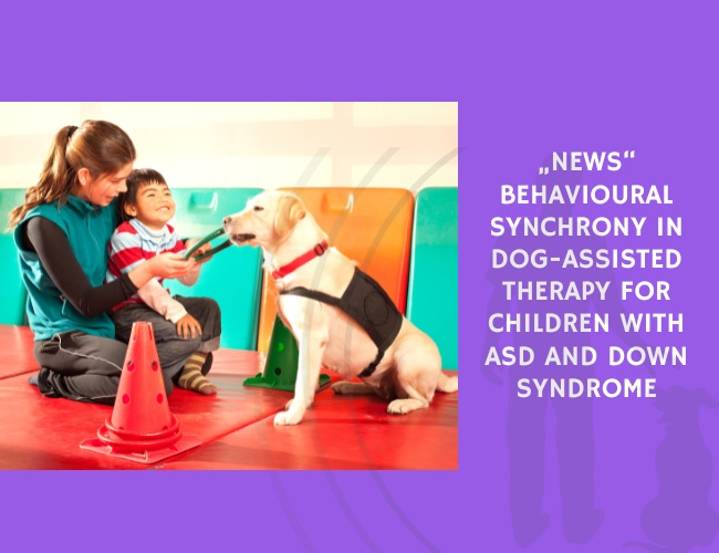 News Behavioural Synchrony in Dog-Assisted Therapy for Children with ASD and Down Syndrome