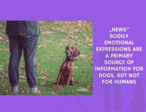 News Bodily Emotional Expressions Are a Primary Source of Information for Dogs, but Not for Humans