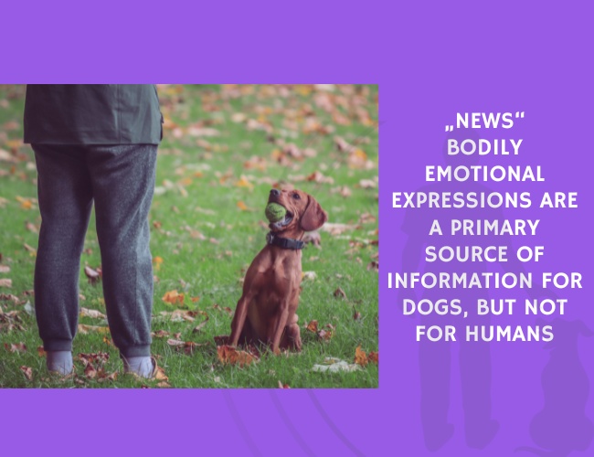News Bodily Emotional Expressions Are a Primary Source of Information for Dogs, but Not for Humans