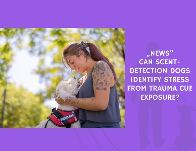 News Can Scent-Detection Dogs Identify Stress from Trauma Cue Exposure
