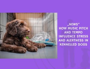 News How Music Pitch and Tempo Influence Stress and Alertness in Kennelled Dogs