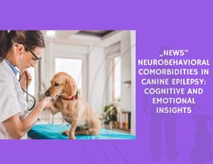 News Neurobehavioral Comorbidities in Canine Epilepsy Cognitive and Emotional Insights