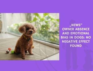 News Owner Absence and Emotional Bias in Dogs No Negative Effect Found