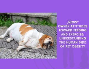 News Owner Attitudes Toward Feeding and Exercise Understanding the Human Side of Pet Obesity