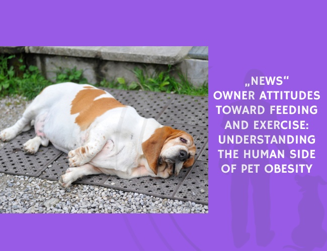 News Owner Attitudes Toward Feeding and Exercise Understanding the Human Side of Pet Obesity