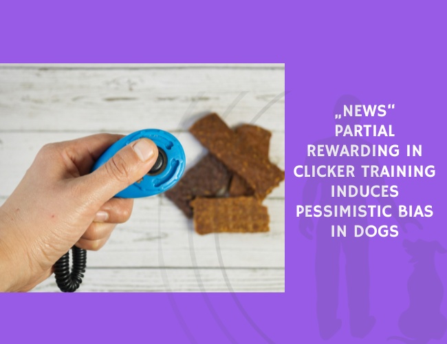 News Partial Rewarding in Clicker Training Induces Pessimistic Bias in Dogs