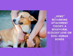 News Rethinking Attachment Theory A Behavioral Ecology Lens on Dog–Human Bonds
