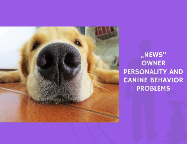Owner Personality and Canine Behavior Problems