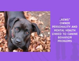 Owner Personality and Mental Health Linked to Canine Behavior Problems