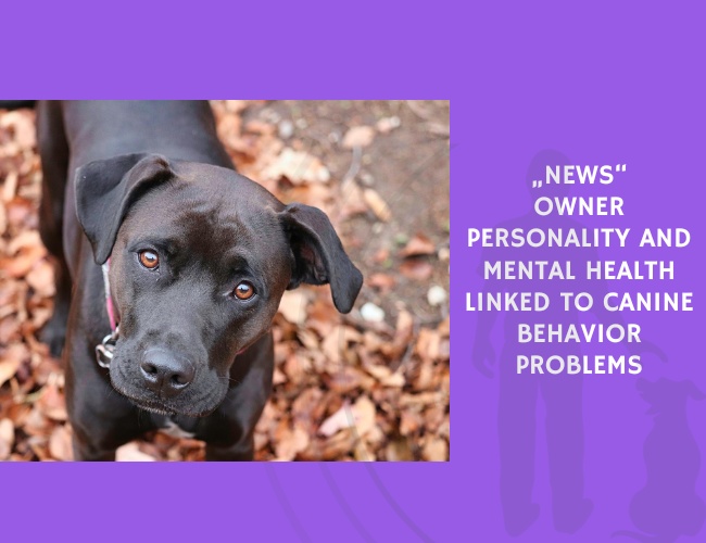 Owner Personality and Mental Health Linked to Canine Behavior Problems