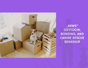 Oxytocin, Bonding, and Canine Rescue Behavior
