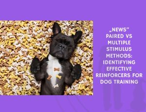 Paired vs Multiple Stimulus Methods Identifying Effective Reinforcers for Dog Training