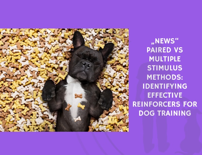 Paired vs Multiple Stimulus Methods Identifying Effective Reinforcers for Dog Training