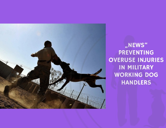 Preventing Overuse Injuries in Military Working Dog Handlers