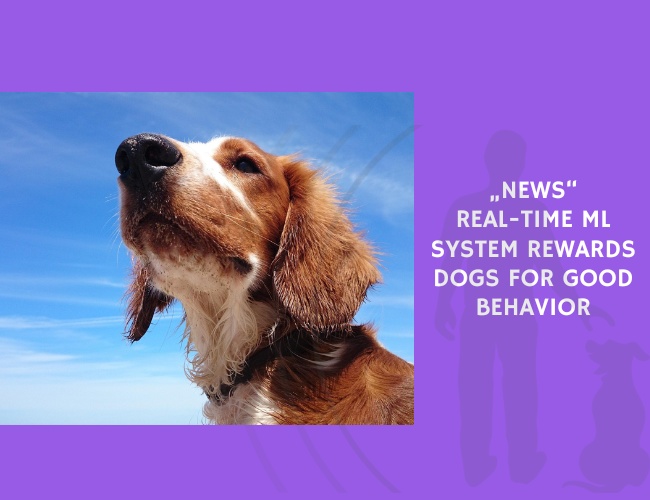 Real-Time ML System Rewards Dogs for Good Behavior