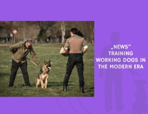 Training Working Dogs in the Modern Era