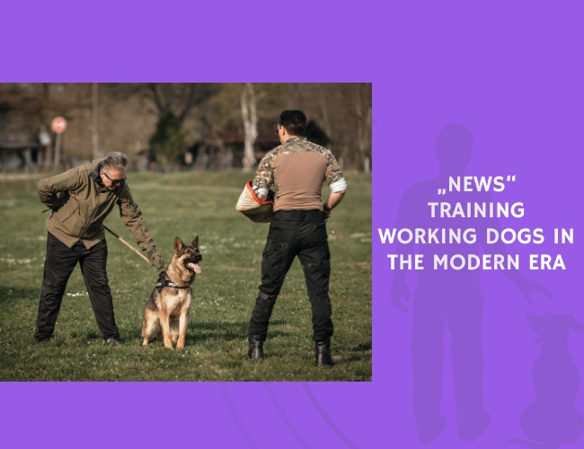 Training Working Dogs in the Modern Era