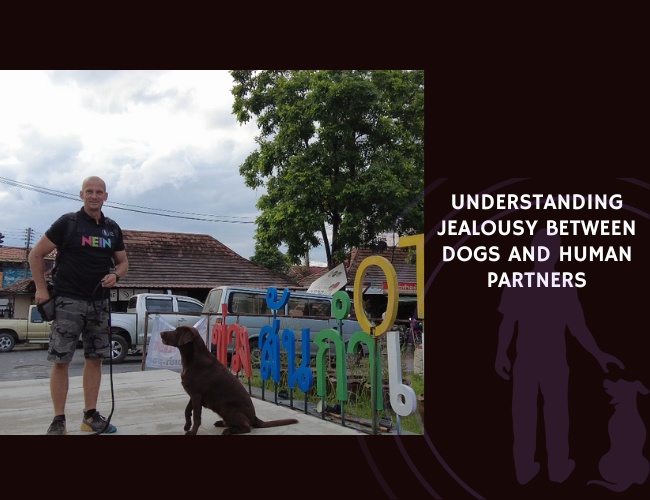 Understanding Jealousy Between Dogs and Human Partners