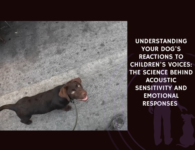 Understanding Your Dog's Reactions to Children's Voices The Science Behind Acoustic Sensitivity and Emotional Responses