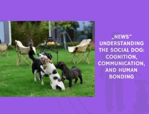 Understanding the Social Dog Cognition, Communication, and Human Bonding