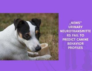 Urinary Neurotransmitters Fail to Predict Canine Behavior Profiles