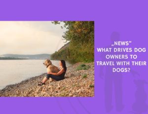 What Drives Dog Owners to Travel With Their Dogs