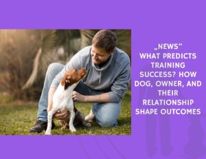 What Predicts Training Success How Dog, Owner, and Their Relationship Shape Outcomes