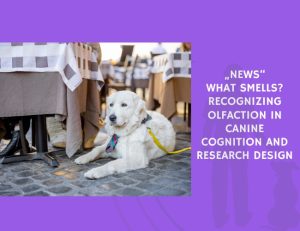 What Smells Recognizing Olfaction in Canine Cognition and Research Design