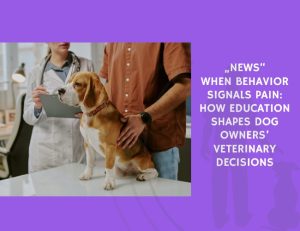 When Behavior Signals Pain How Education Shapes Dog Owners’ Veterinary Decisions
