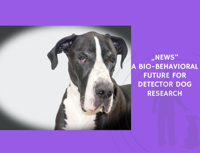 A Bio-Behavioral Future for Detector Dog Research