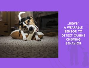 A Wearable Sensor to Detect Canine Chewing Behavior