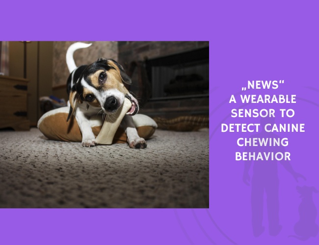 A Wearable Sensor to Detect Canine Chewing Behavior