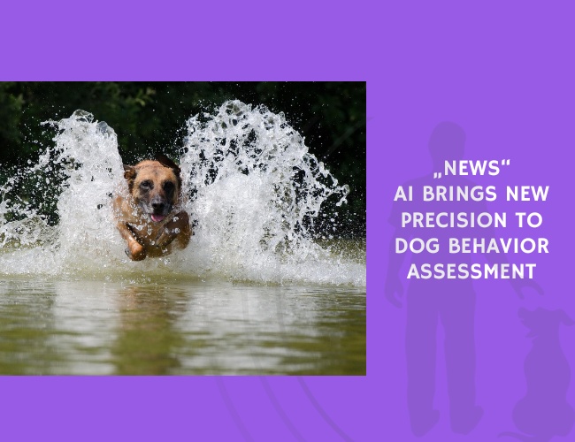 AI Brings New Precision to Dog Behavior Assessment