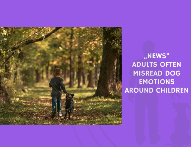 Adults Often Misread Dog Emotions Around Children