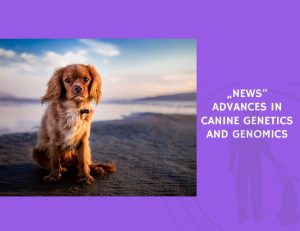 Advances in Canine Genetics and Genomics
