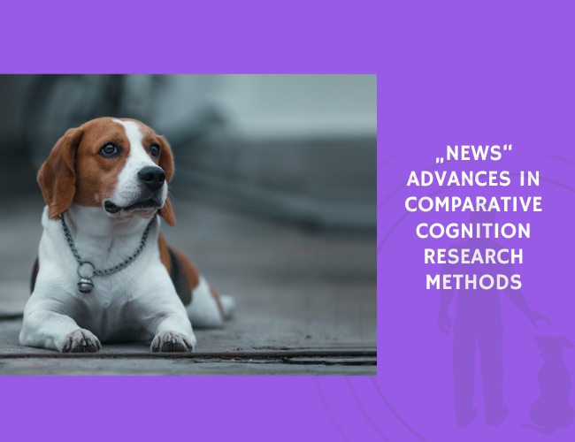 Advances in Comparative Cognition Research Methods