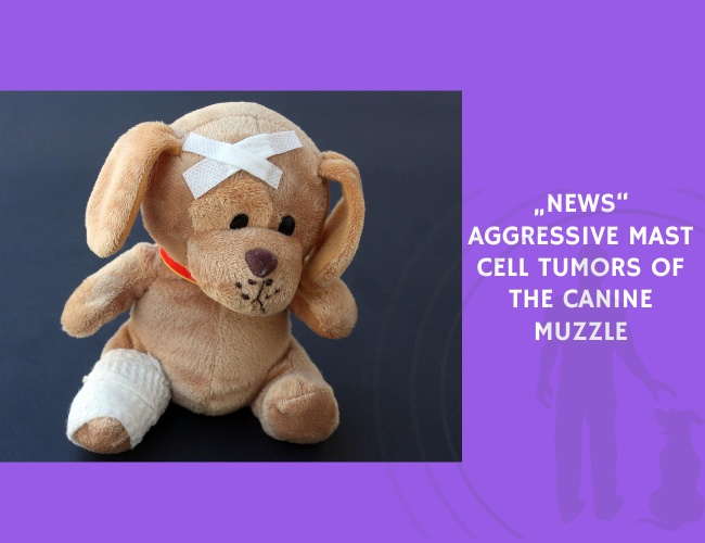 Aggressive Mast Cell Tumors of the Canine Muzzle