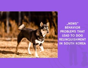 Behavior Problems That Lead to Dog Relinquishment in South Korea