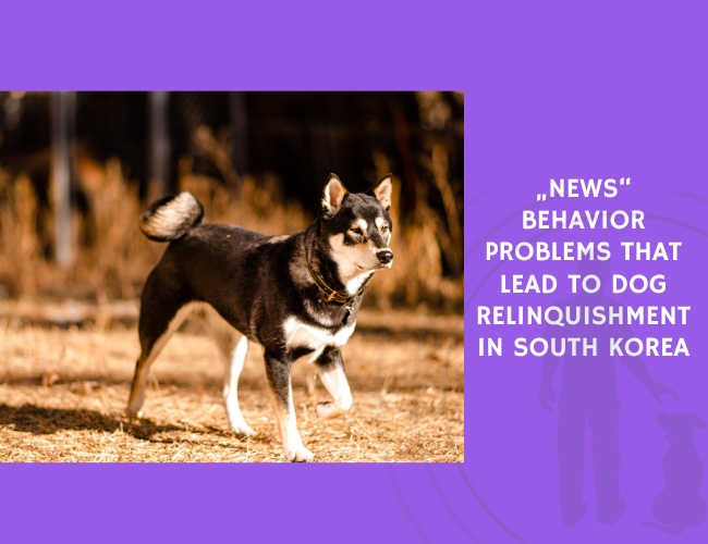 Behavior Problems That Lead to Dog Relinquishment in South Korea