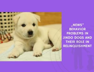Behavior Problems in Jindo Dogs and Their Role in Relinquishment