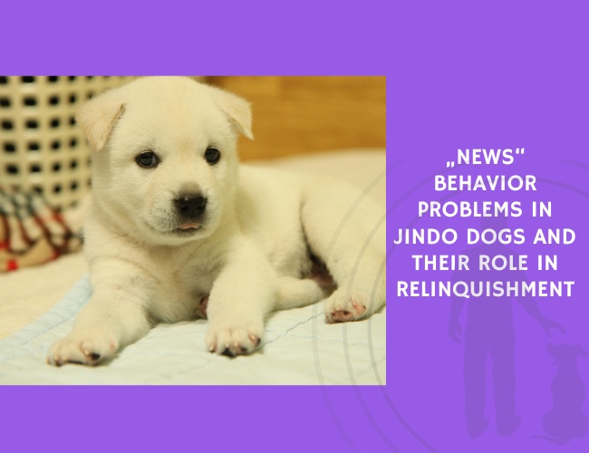Behavior Problems in Jindo Dogs and Their Role in Relinquishment