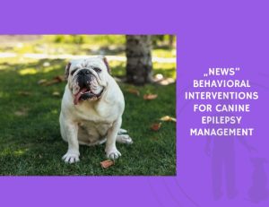 Behavioral Interventions for Canine Epilepsy Management