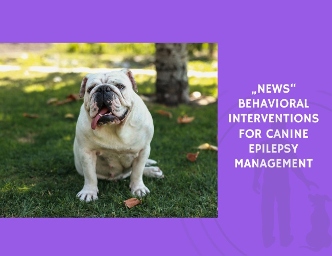 Behavioral Interventions for Canine Epilepsy Management