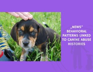 Behavioral Patterns Linked to Canine Abuse Histories